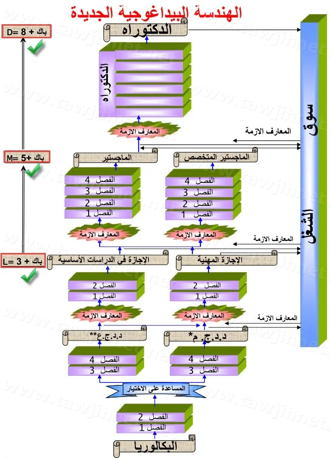 histogramme-universite