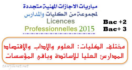 licence-professionnelle-2015.jpg