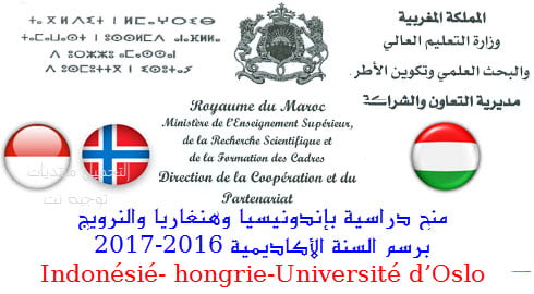 Bourses-Indonesi%C3%A9-hongrie-Universit%C3%A9-d%E2%80%99Oslo.jpg