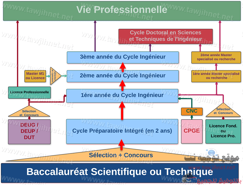 diagramme-ensa.png