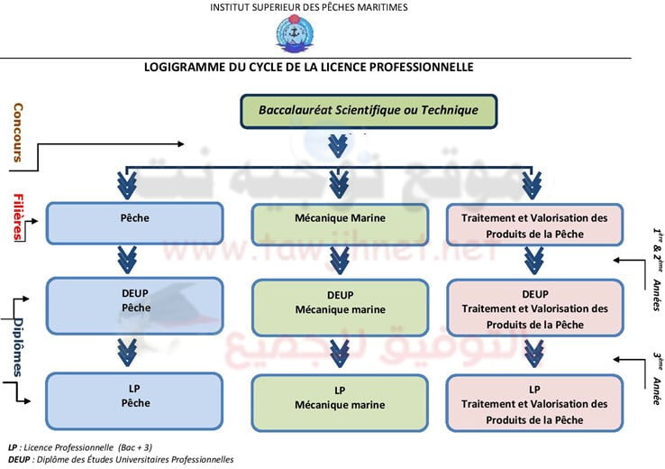 ISPM-agadir-Cursus-Licence-Pro