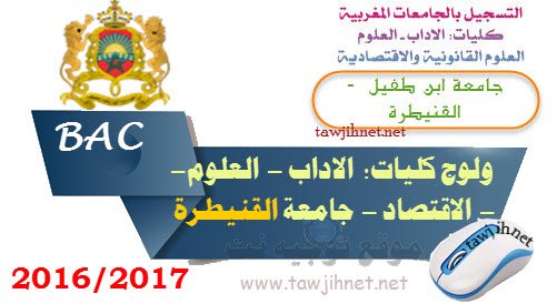 university universite ibn tofail kenitra