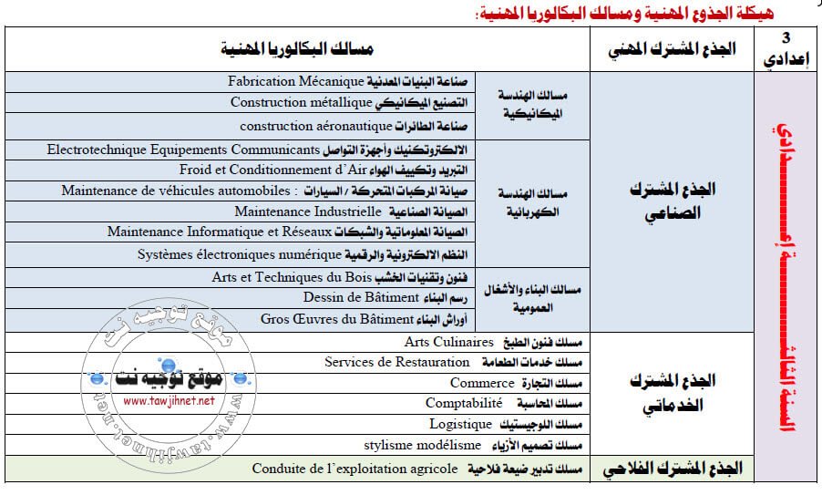 bac-prof-branches-maroc.jpg