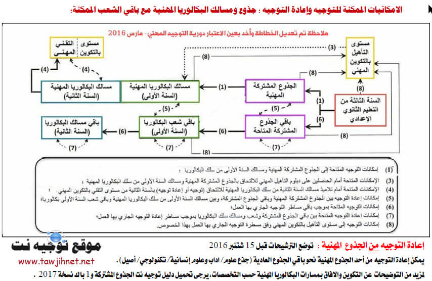 bac-prof-maroc-histogramme.jpg