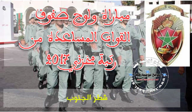 Forces auxiliaires zone sud