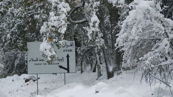 ifrane.jpg