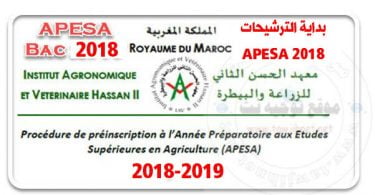 apesa 2018