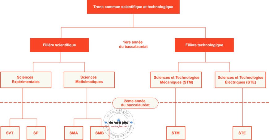 histogramme-Lyc%C3%A9e-d%E2%80%99Excellence-de-Bengu%C3%A9rir-2018-2019.jpg