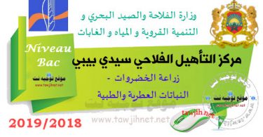 Centre de Qualification Agricole Sidi Bibi