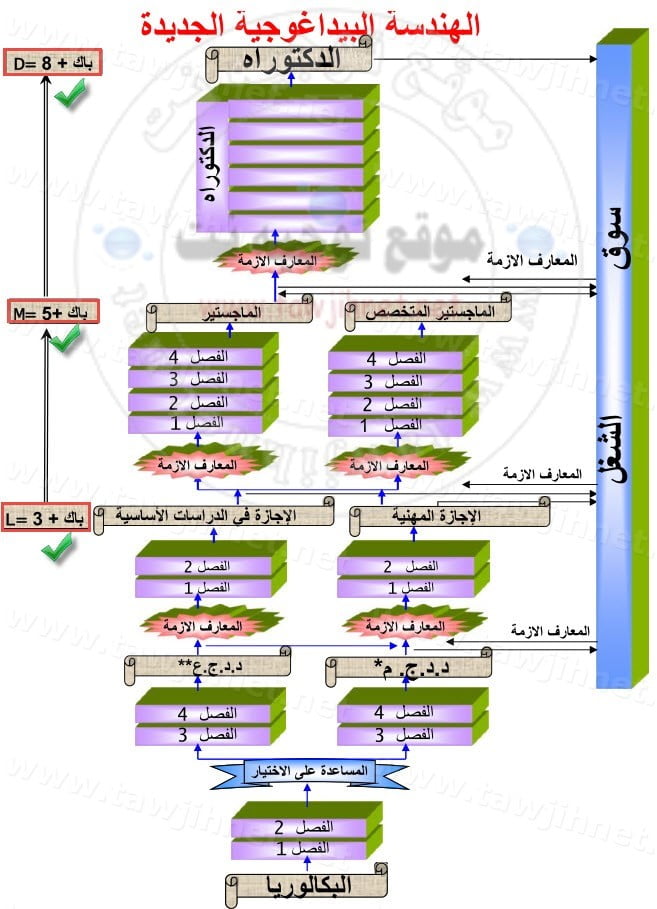 histogramme-universite-faculte-maroc.jpg