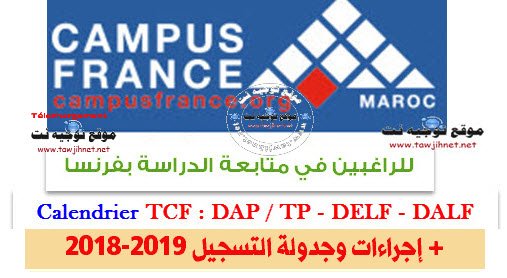 tcf dap