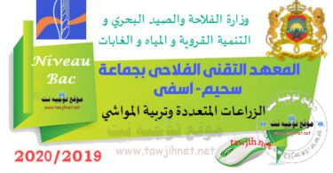 Institut techniciens agricole jemaa shaim safi