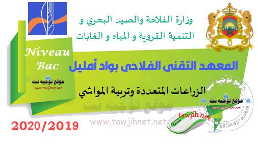 Concours Institut technique agricole d'Oued Amlil Taza 2019-2020 المعهد التقني الفلاحي بواد أمليل - تازة