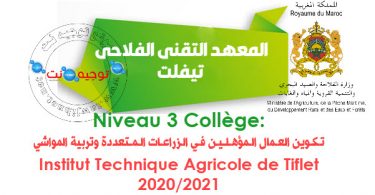 Qualification polyculture élevage Institut des techniciens en agriculture tiflet