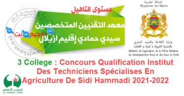 Institut qualification Sidi Hammadi