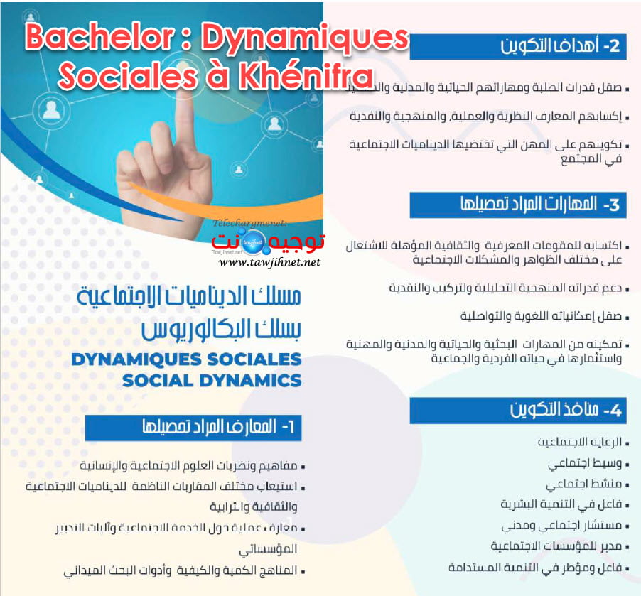 Bachelor : Dynamiques Sociales à Khénifra 