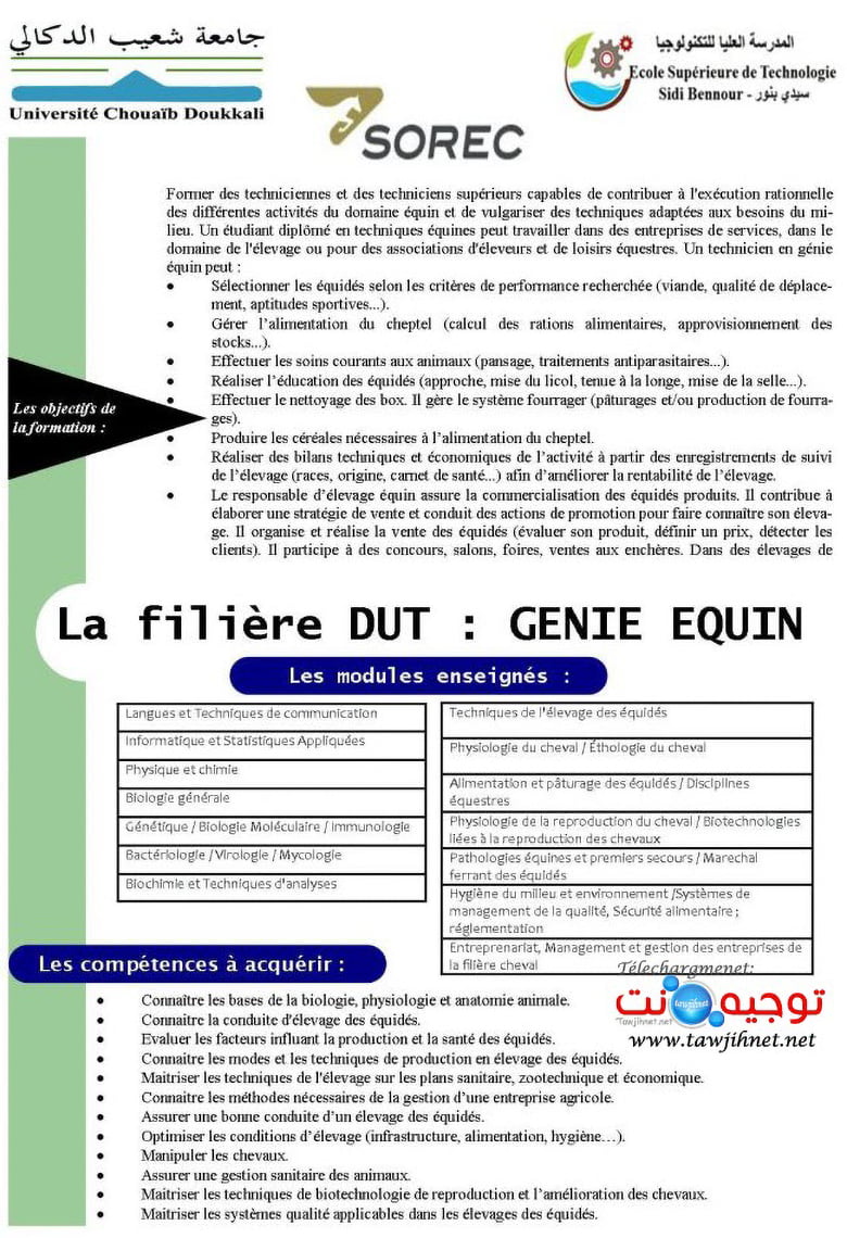 GENIE EQUIN