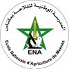 ena enam meknes