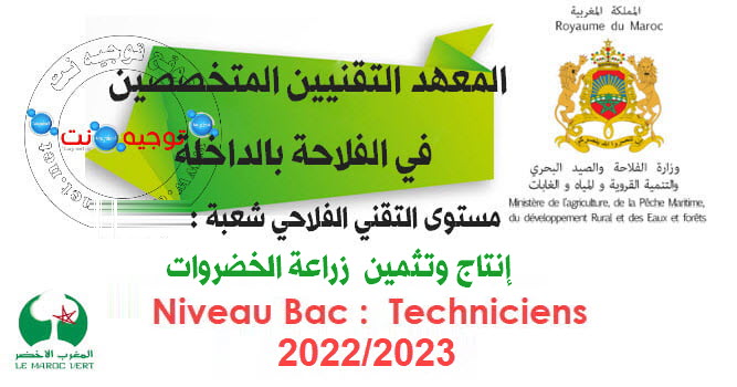 معهد التقنيين المتخصصين الداخلة
مبارة التقني الفلاحي شعبة إنتاج وتثمين زراعة الخضروات 2021-2022
Concours Institut Des Techniciens Agricoles De Dakhla