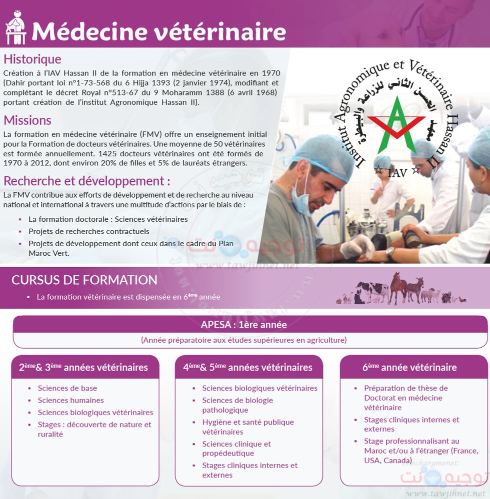 Medecine-veterinaire-Brochure_Page_1.jpg