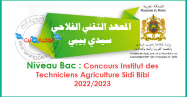 Sidi Bibi Institut des Techniciens Agriculture