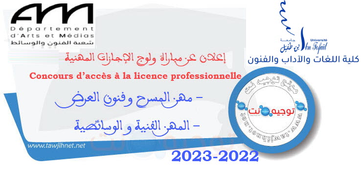 FLLA Kenitra Licences profs Arts et Médias 2022-2023