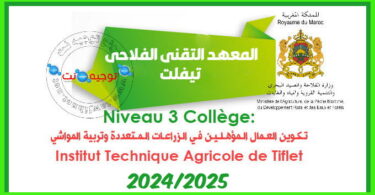 qualification polyculture elevage Institut des techniciens en agriculture tiflet 2024