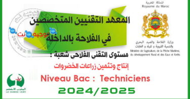 Concours techniciens institut techniciens dakhla 2024 2025