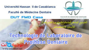 Technologie Laboratoire Prothese Dentaire DUT FMD Casa
