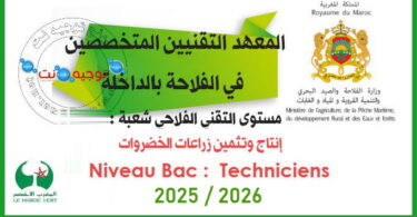 Concours techniciens institut techniciens dakhla 2025 2026