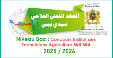 Sidi Bibi Institut des Techniciens Agriculture 2025