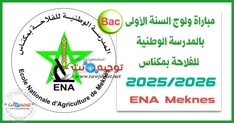 ena meknes enam 2025