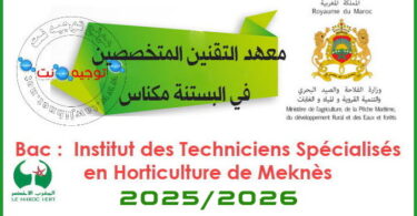 institut des techniciens specialises en horticulture meknes 2024