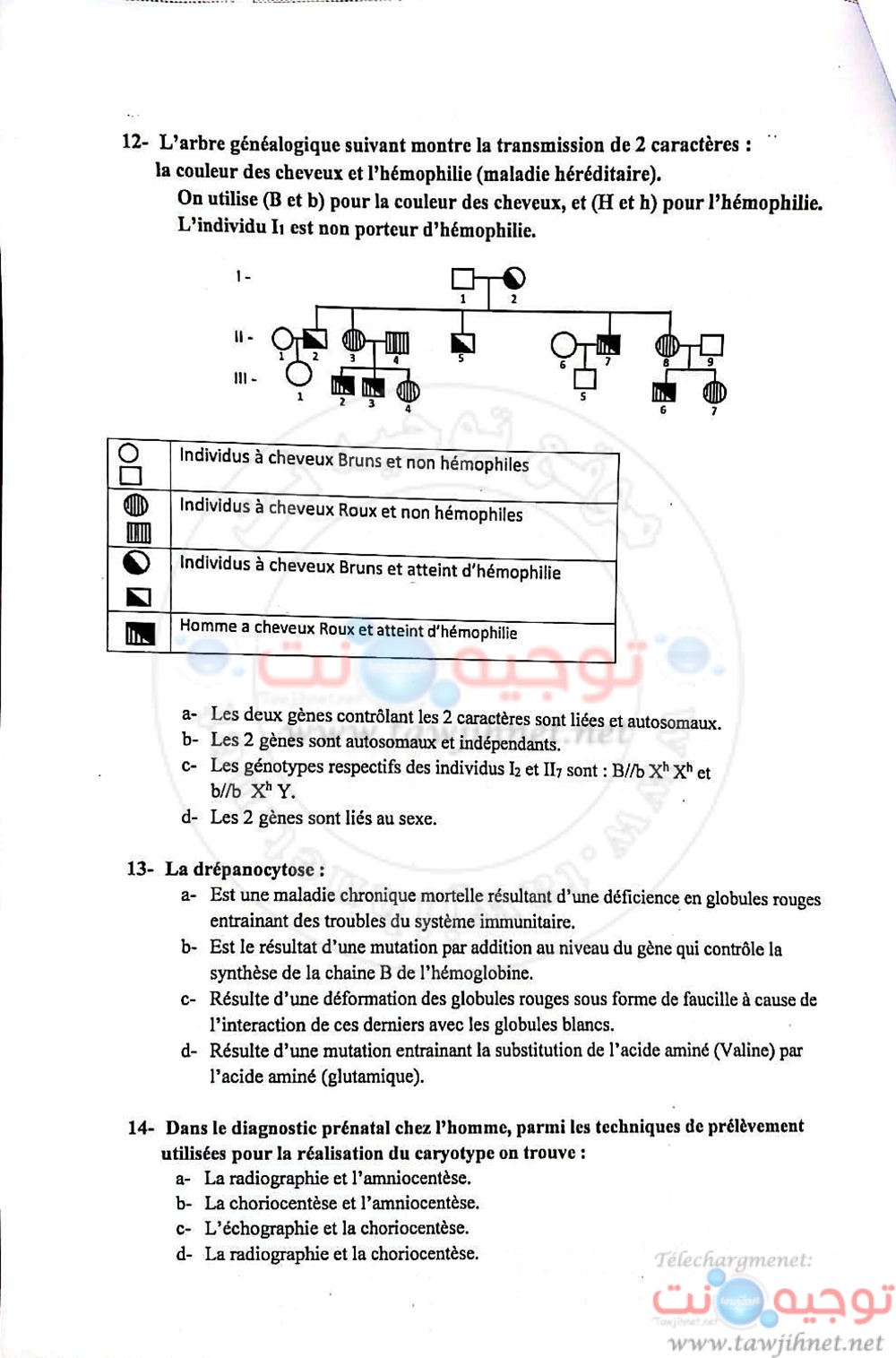 enam-10.jpg