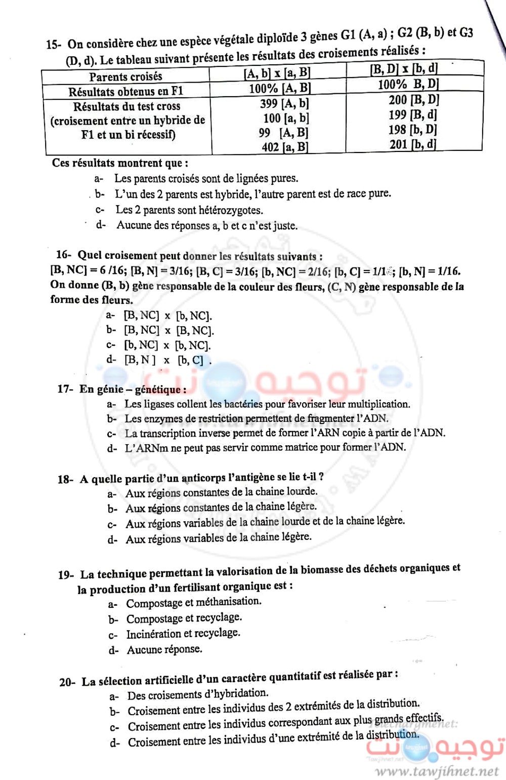 enam-11.jpg