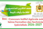 Concours Institut Agricole oulad teima Formation des Techniciens Specialises 2026 2027