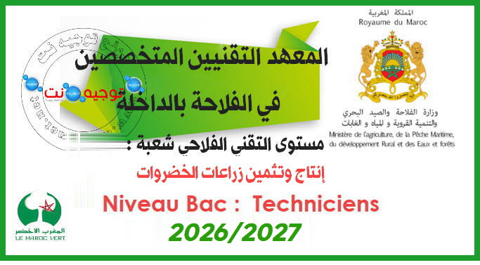 Concours techniciens institut techniciens dakhla 2026 2027
