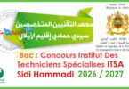 Institut Techniciens Specialises Sidi Hammadi 2026 2027