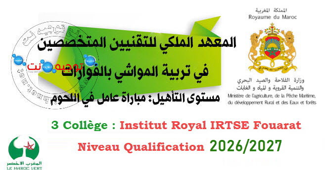 institut Qualification IRTSE Fouarat 2026 2027