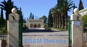 ENAM