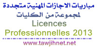 licence-professionnelle.jpg