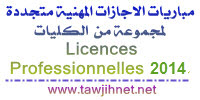 licence-professionnelle%202014.jpg