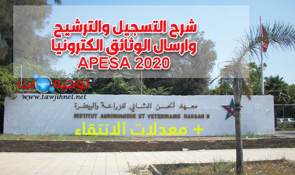 apesa-iav.jpg