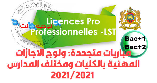 lp-licences professionnelles -lst -2020-2021.jpg