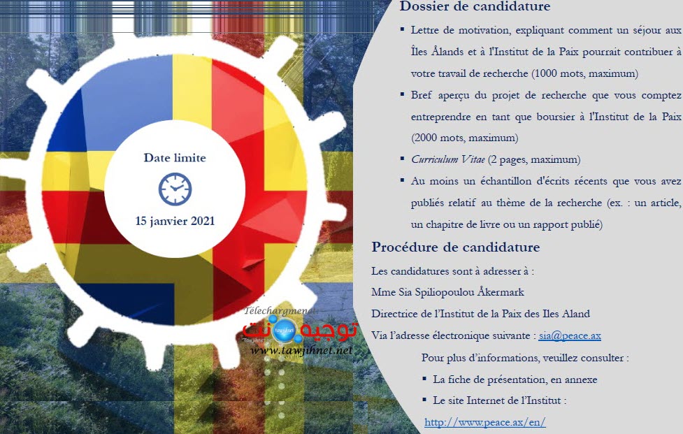 bourse Aland Islands Peace Institute 2021-2.jpg