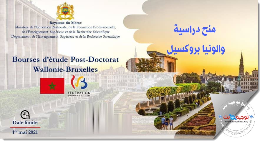 Wallonie Bruxelles Bourses excellence  2021.jpg