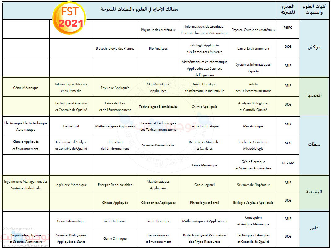 fst-branches-lt-2-2021.jpg