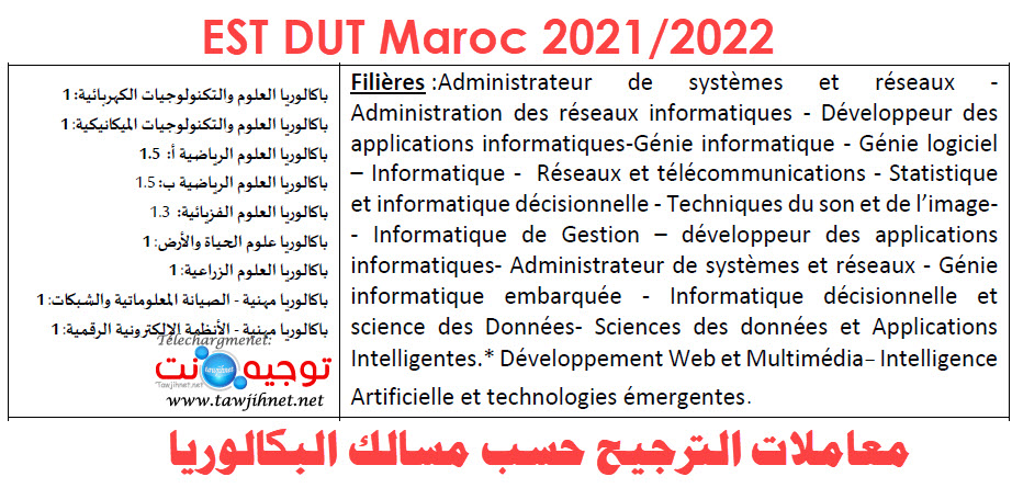 EST DUT informatique.jpg