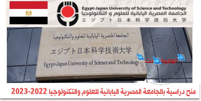 Egypt-Japan University of Science and Technology E-JUST.jpg