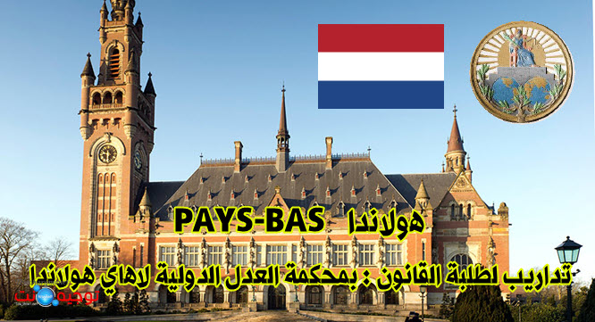 PAYS-BAS stages Cour Internationale  Justice La Haye.jpg